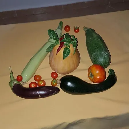 Albapika Agritourism Ξενοδοχείο με διαμερίσματα Vlorë