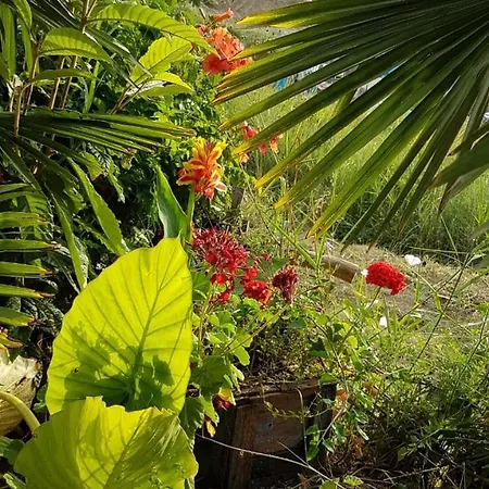 Albapika Agritourism Appart hôtel Vlorë