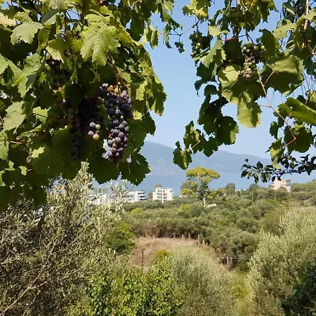 Albapika Agritourism Vlorë